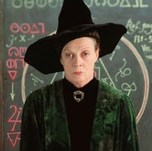 Harry Potter Professor Mcgonagall witch wizard costume